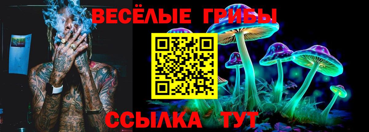Галлюциногенные грибы мухоморы  Вход с VPN  Ачхой-Мартан 